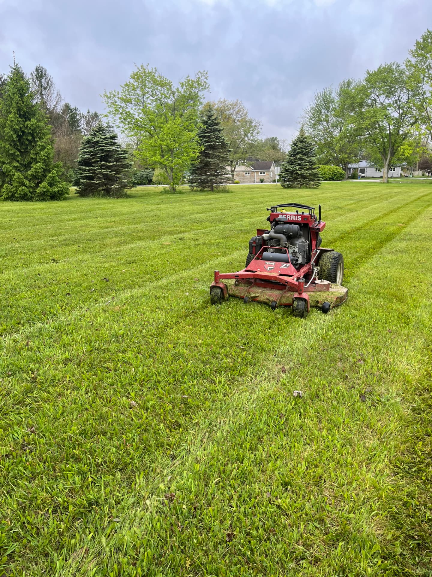 Ferris stand-on mower cutting clean stripes across a large lawn